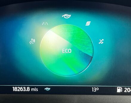 Ford Puma ST-LINE X MHEV 31