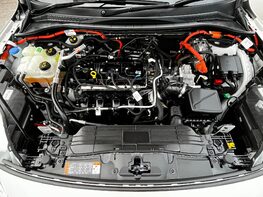 Ford Kuga ST-LINE X EDITION 7