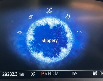 Ford Puma ST-LINE VIGNALE 29