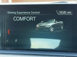 BMW 2 Series 1.5 218I SE Auto 2dr 33