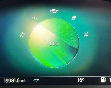 Ford Puma 1.0 PUMA ST-LINE VIGNALE MHEV 5dr 31