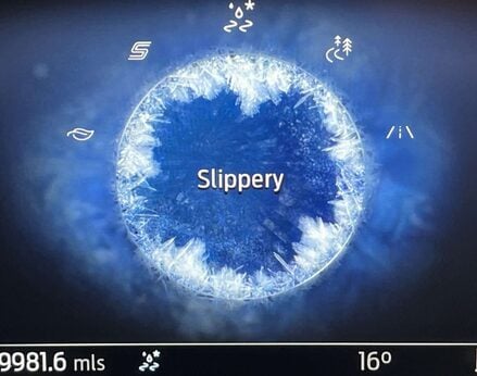 Ford Puma 1.0 PUMA ST-LINE VIGNALE MHEV 5dr 33