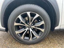 Lexus NX 2.5 NX 300h F Sport CVT 4WD 5dr 14