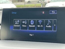 Lexus NX 2.5 NX 300h F Sport CVT 4WD 5dr 47