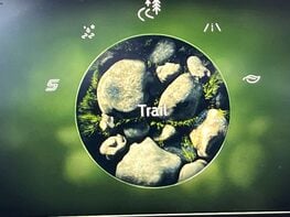 Ford Puma 1.0 PUMA ST-LINE X MHEV AUTO 5dr 32