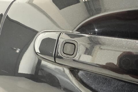Jaguar XK PORTFOLIO 26