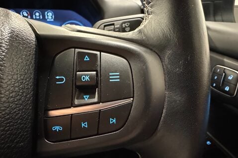Ford Ranger PLATINUM ECOBLUE 29