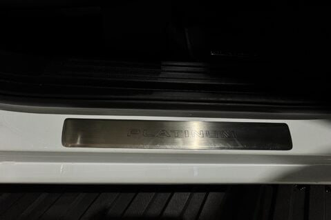 Ford Ranger PLATINUM ECOBLUE 36