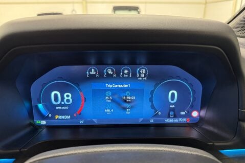 Ford Ranger PLATINUM ECOBLUE 11