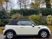 Mini Convertible ONE PEPPER PACK 12