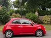 Fiat 500 LOUNGE 8