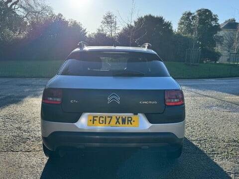 Citroen C4 Cactus PURETECH FLAIR 6