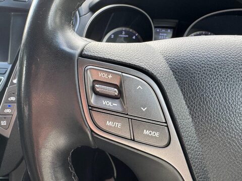 Hyundai SANTA FE CRDI PREMIUM 29